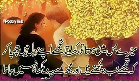 40+ Love Shayari in Hindi & Urdu Bhaasha