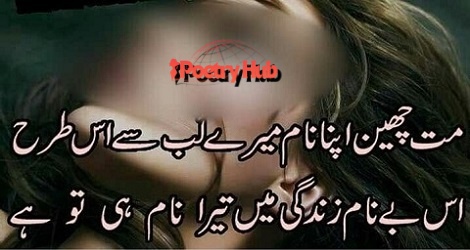40+ Love Shayari in Hindi & Urdu Bhaasha