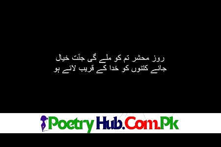 201+ Ishq Shayari With Best Ishq Poetry in Urdu & Hindi