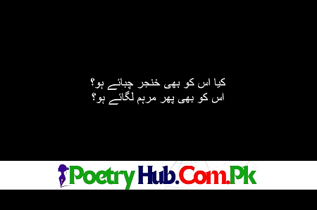 201+ Ishq Shayari With Best Ishq Poetry in Urdu & Hindi